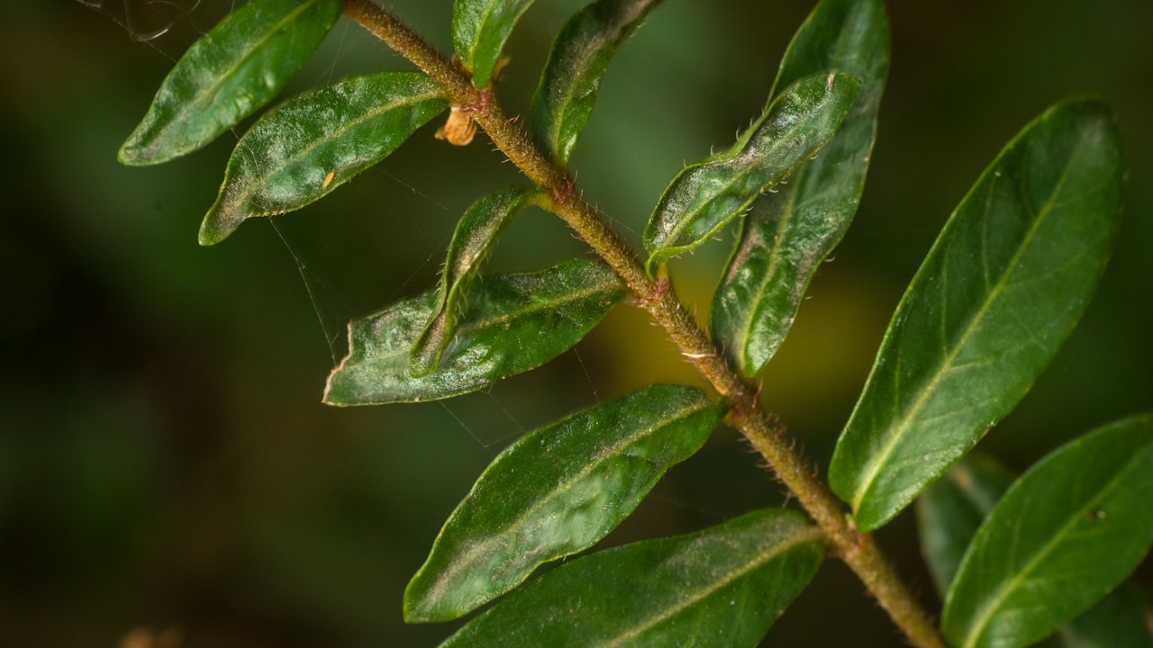 人工智能技术的不断创新与应用 人工智能技术的不断创新与应用