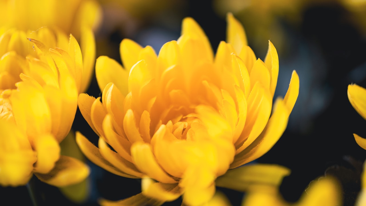 AI 写作助手如何成为你的职场神器? AI 写作助手如何成为你的职场神器?